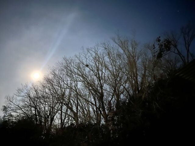 おはようございます。本日水曜、明日木は店休日となります。よろしくお願い申し上げます。貼り付けはexpansions。またアルバム出してくれないかな。

#バーン雑木林