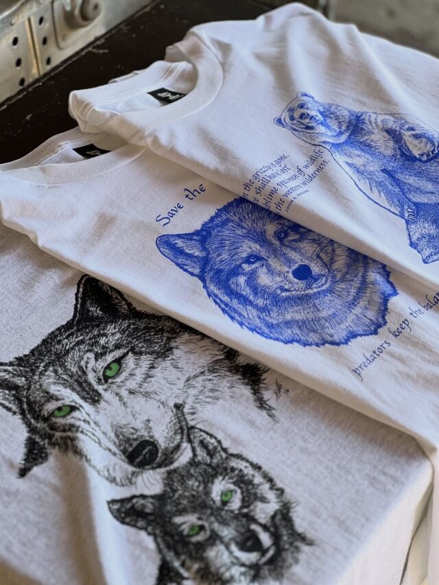 Tシャツいきましょう。アメリカらしいアイテムが入荷です。色々ある中から、当店ではクマとオオカミをセレクト。サイズはXLのみ。

こちらは1976年にアメリカのジム・モリスによって設立された環境、自然保護を促進するTシャツメイカーのもの。コロラド大の学生たちの環境保護活動を支援する為にスタートし、現在では環境団体および野生動物団体に$248.000を超える寄付を行なっています。

青プリントの2種はフロントと背中の両面に活動家たちの言葉、図案あり。グレーのオオカミは前面のみのプリントとなります。

・Jim Morris Environmemmtal & wild life T-shirts Co.
"GRIZZLY BEAR" 
 "WOLF AND EAGLE"
"GREEN EYED WOLF"
size  XL
price ¥8800