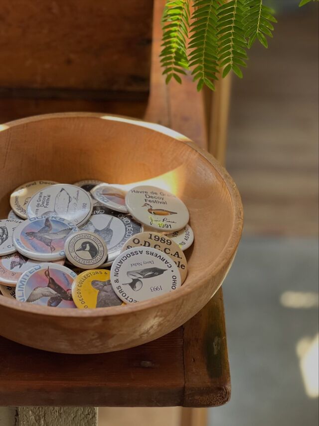 昨日、雉が来たので鳥物品出しするか。アメリカの80's〜2000'sあたりのカモ缶バッジ。鞄に付けるの良いよな。これはバイアスストアのチーロの真似。彼はマイケルジャクソンのバッジを小振りのトートバッグに付けていた。今から値付けして並べよう。サタデーダックワークス。